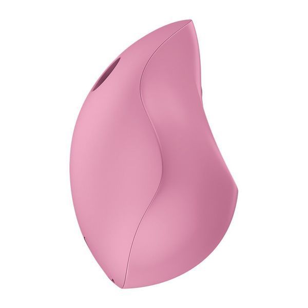 Вакуумний стимулятор Fun Factory Delicia Rose, 11 режимів роботи, перезаряджуваний &mdash; вакуумний вібратор, фото товару | купити в магазині Ass In Bath